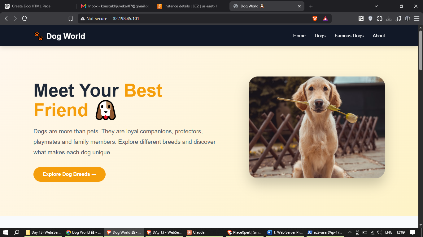 Web Server Result